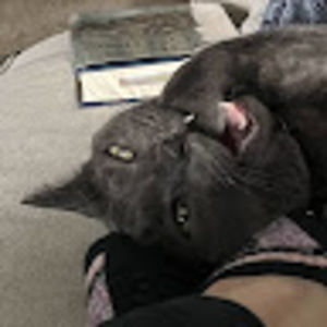 Meet your Posher, Elizabeth